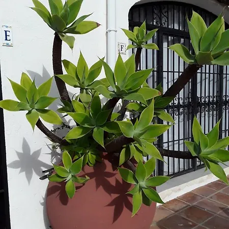 Apartman Dona Lola , Luminoso Calahonda, Mijas *